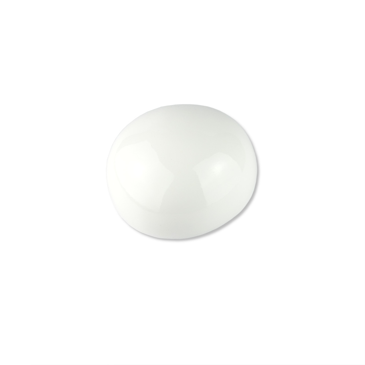 Kokosschale-mit-Libellenmalerei_natur-auen-weiss-lackiert_Rueckseite_1350242_c